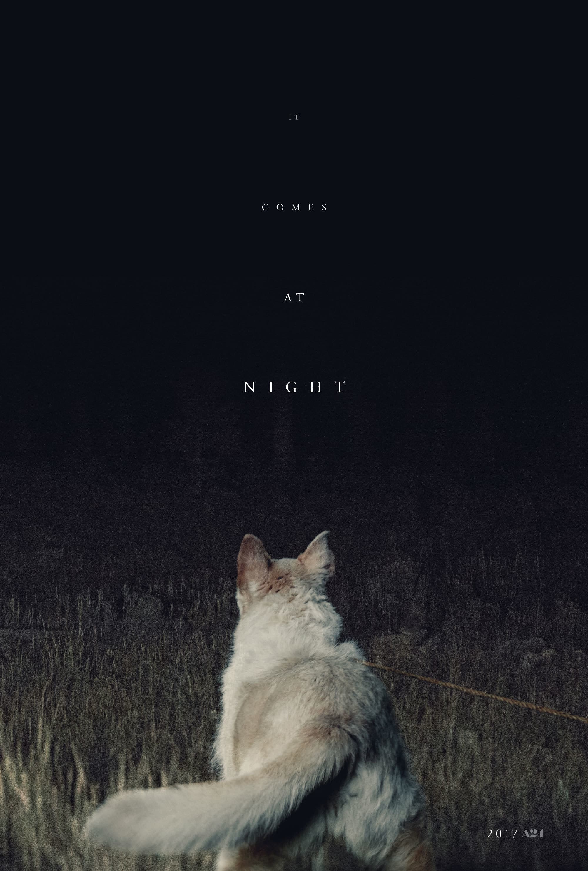 It Comes At Night Dog Poster Web