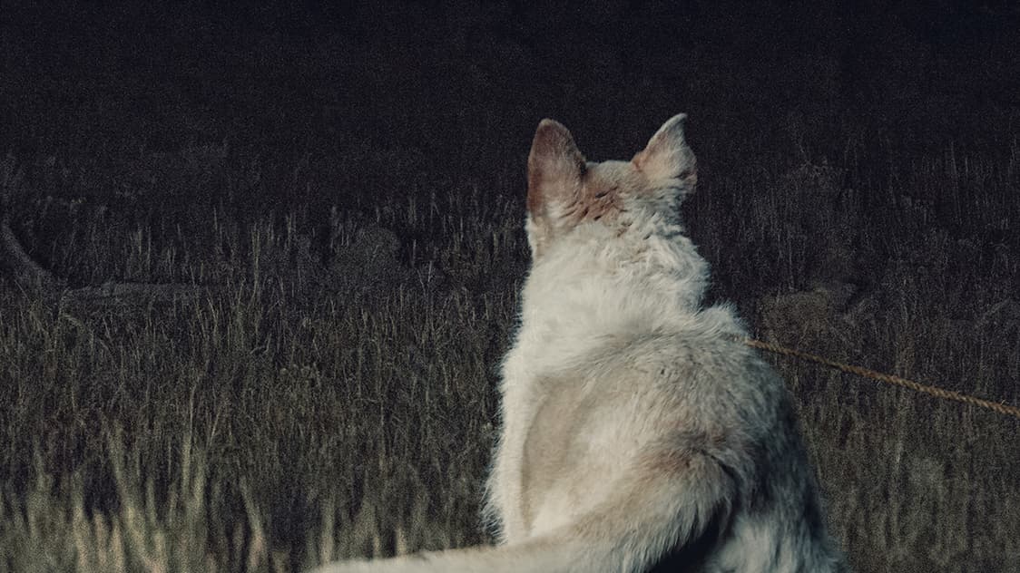 It Comes At Night Teaser Horizontal